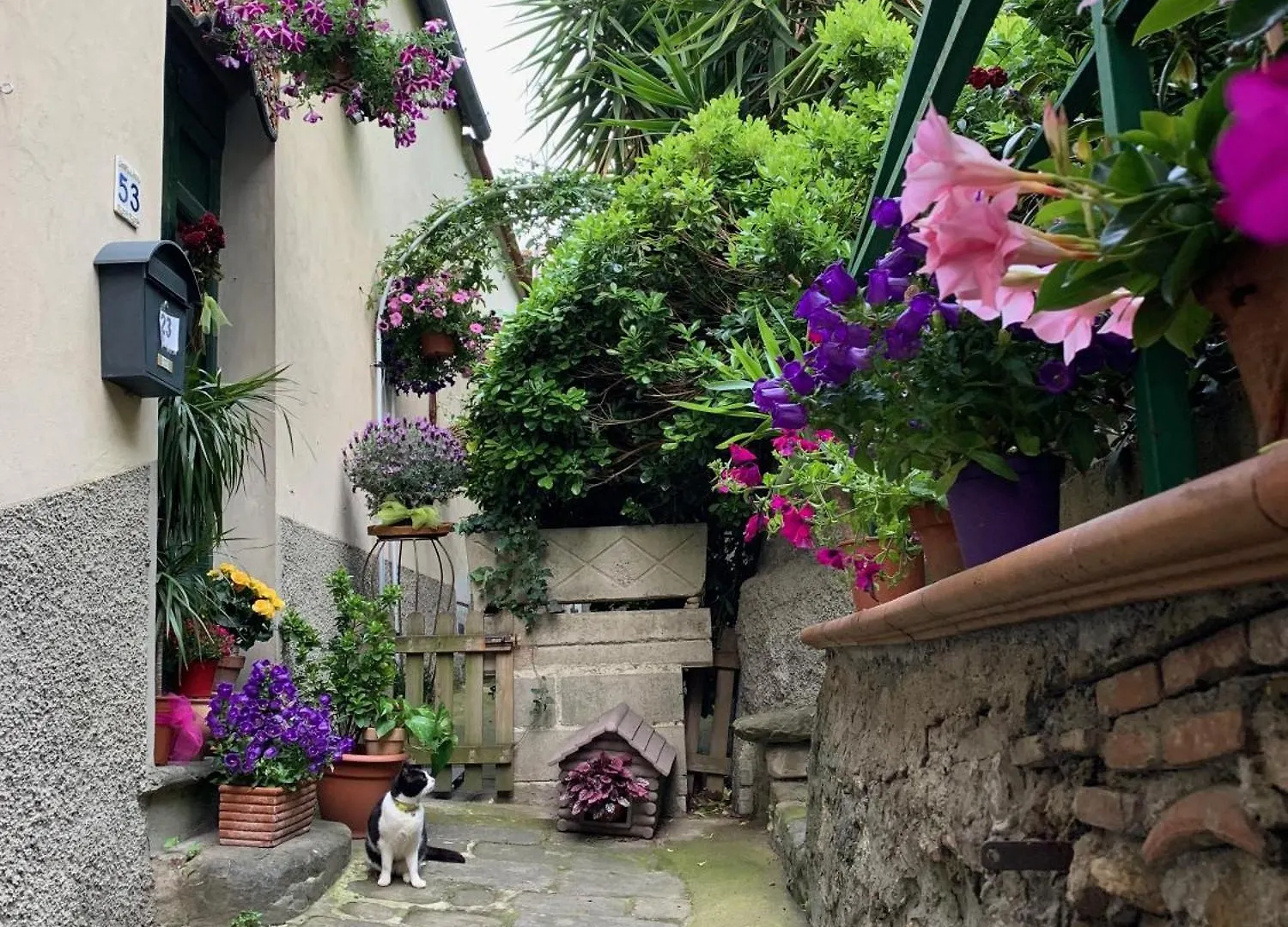 Bed & Breakfast B&B L'Orologio Signa Italia
